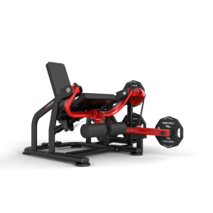 Leg Extension
