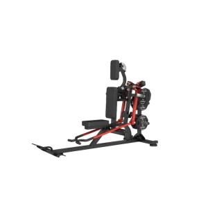 Bentover Lateral Raise