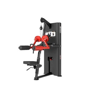 Seated Lateral Raise